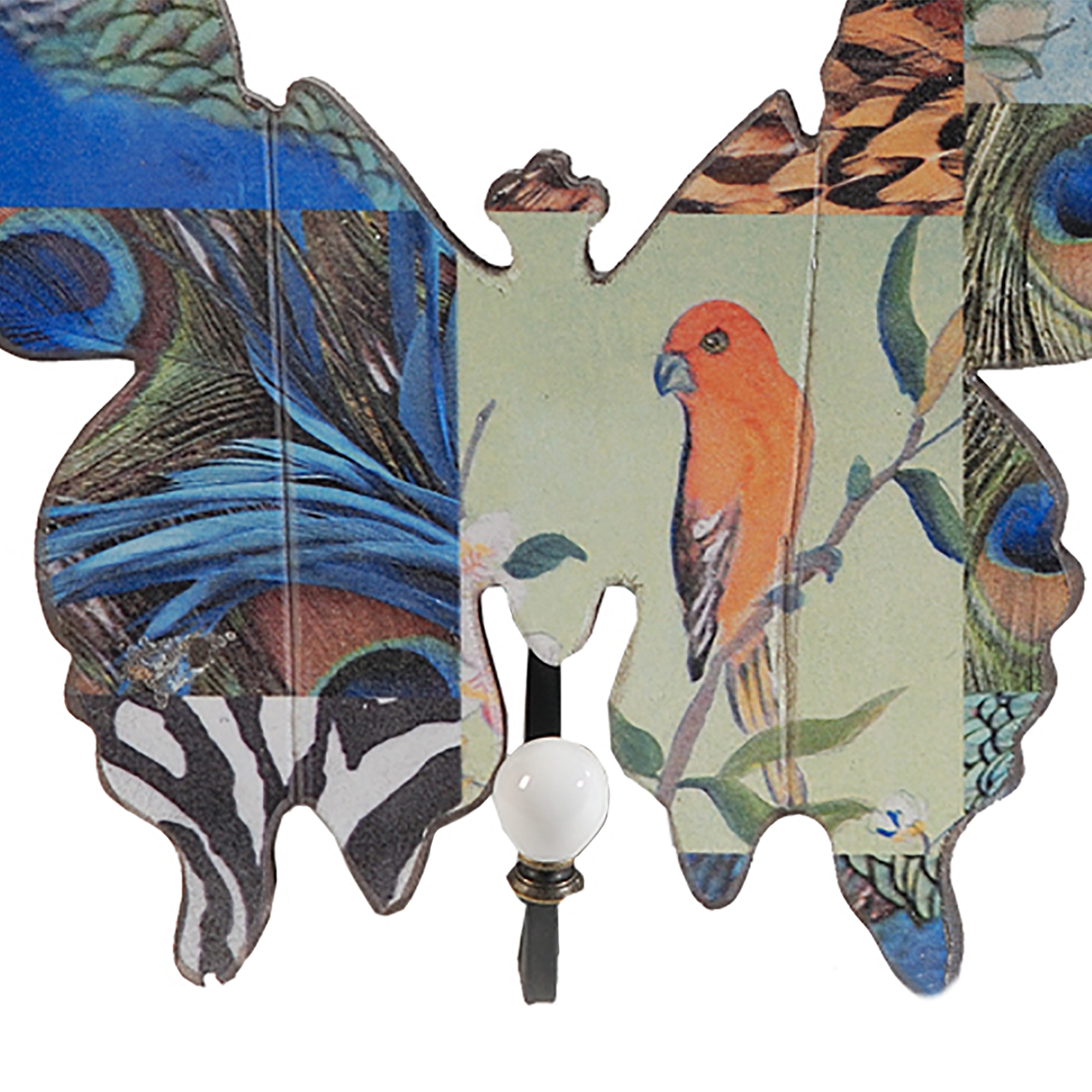 Butterfly Wall Dâ€¹Â¨Â«cor with Exotic Animal Print, Set of 4, Multicolor